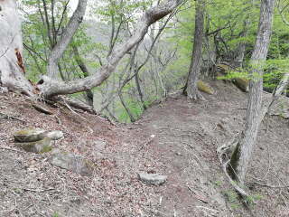 画像に含まれている可能性があるもの:木、屋外